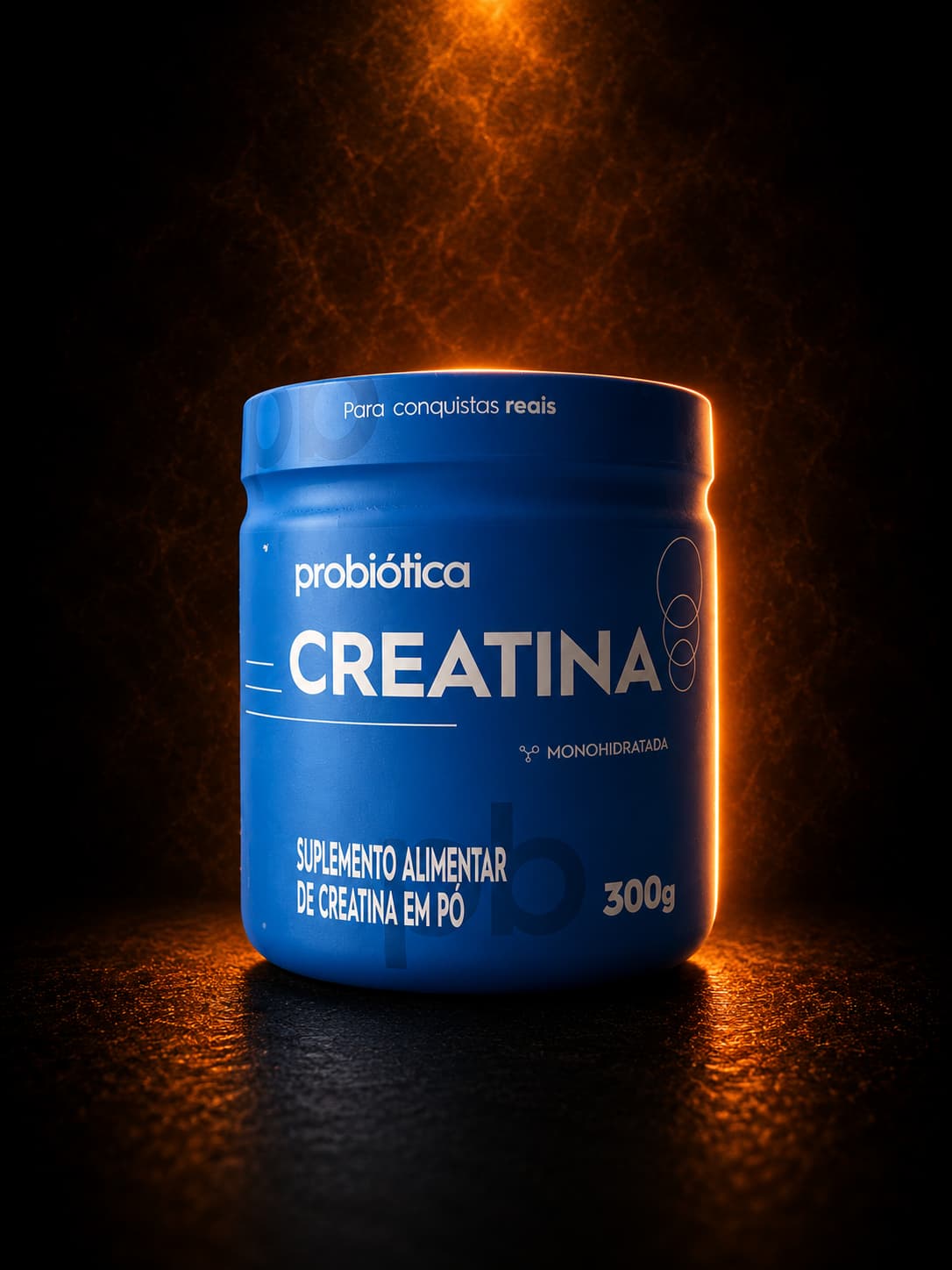CREATINA 300 G PROBIOTICA